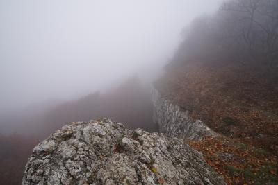 Прикрепленное изображение: A58DSC01646-1.jpg